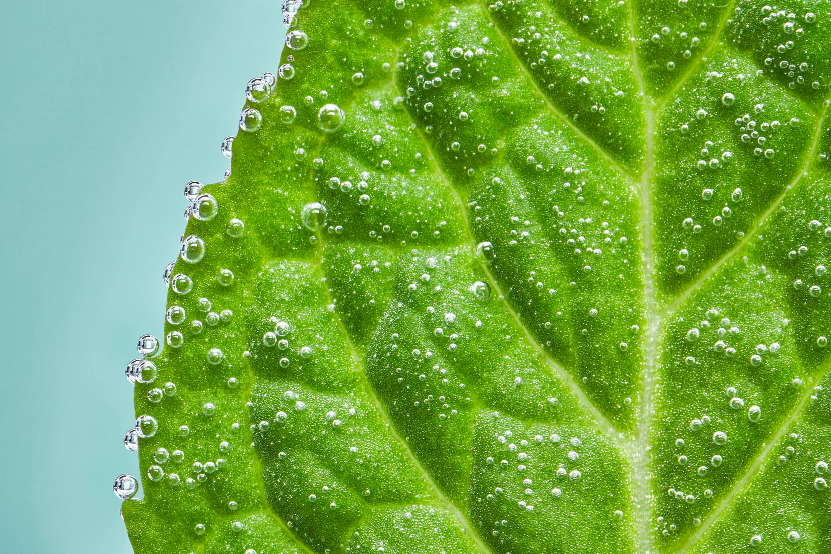 RELX Pod Pro Fruit Mint Tea Dessert Beverage and Tobacco More Flavors 0mg/ml and 18mg/ml Nicotine - Six Pandas